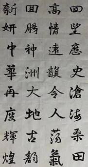我院--LOKE MENG TAT--辉煌中华